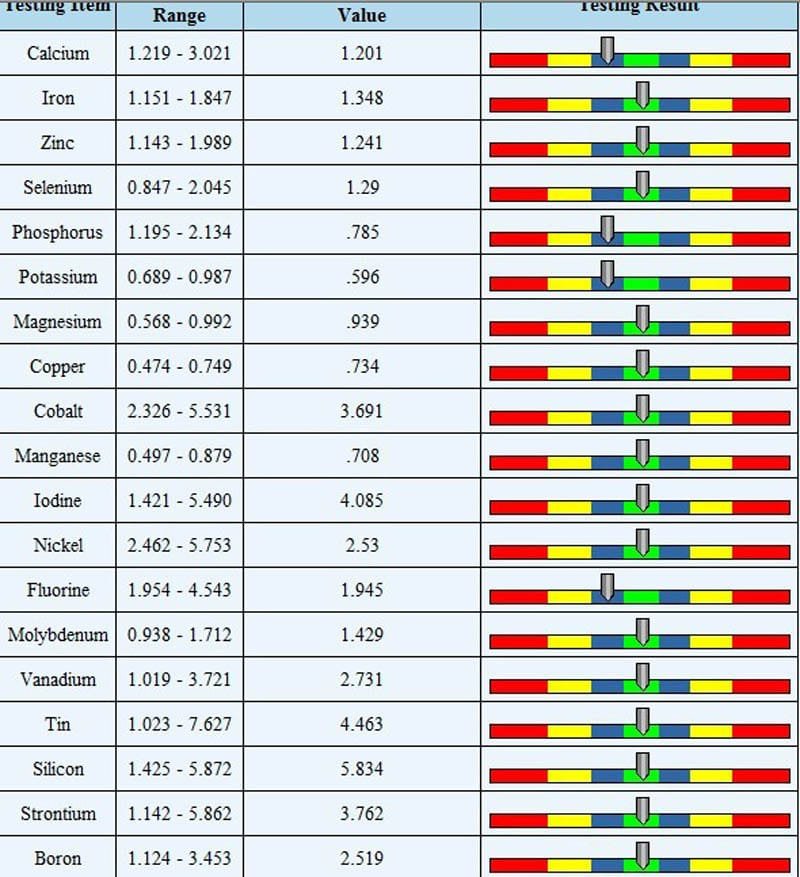 quantum resonance magnetic analyzer reports